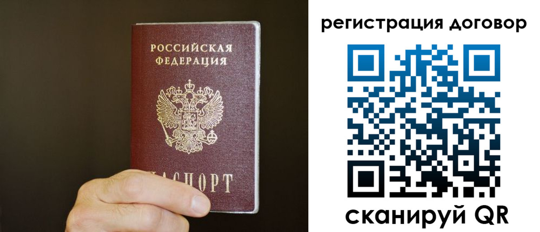 прописка для школы в Щёкино